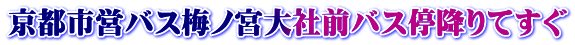京都市営バス梅ノ宮大社前バス停降りてすぐ